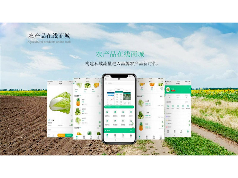 智慧農(nóng)業(yè)